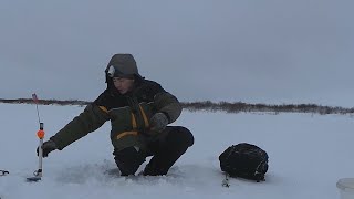 разведка рыболовных мест  жерлица с улучшенной световой индикацией