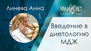 Введение в диетологию мелких домашних животных. Линева Анна #убвк_гастроэнтерология