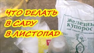 ЛИСТОПАД НА ДАЧЕ, ЧТО ДЕЛАТЬ? /Органическое земледелие