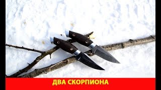 Два скорпиона