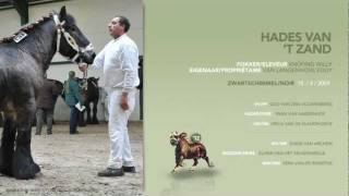 Hades van 't Zand (www.trekpaard.be)
