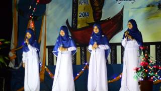 Satria- Isteri solehah