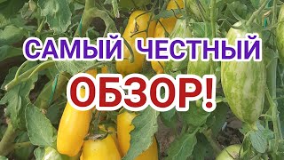 Банановые ноги/Малиновая империя/Семена Партнёр?