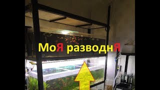 Протока, разводня, планы