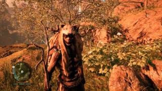 Far Cry Primal Walkthrough Part 15 - Hunting With white wolf in the forest
