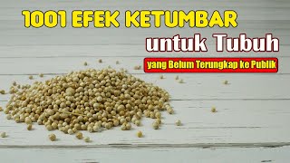 MENGENAL LEBIH DALAM EFEK KETUMBAR UNTUK KESEHATAN TUBUH, KALIAN WAJIB TAHU
