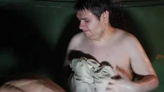 Паримся в бани с батей и пьём шотландский виски 18+ видео