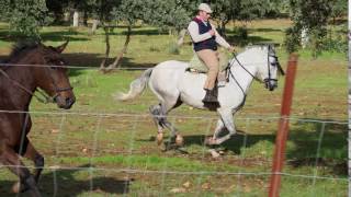 Olympus OM-D E-M1 Mark II 4K Video Sample (Sync IS OFF)