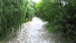 Black Creek Ravine Flooding - Toronto, ON July 7, 2013