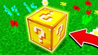 WHAT'S INSIDE THIS MINECRAFT BLOCK?!