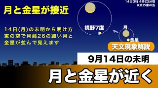 月と金星が接近　9月14日の未明に早起きしよう
