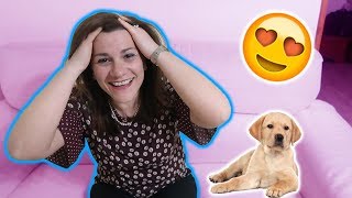 HO REGALATO UN CANE A MIA MADRE PER IL COMPLEANNO!!! (*prank emozionante*)