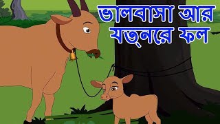 ভালবাসা আর যত্নের ফল - Bangla Golpo গল্প | Bangla Cartoon | ঠাকুরমার ঝুলি 2018 | রুপকথার গল্প