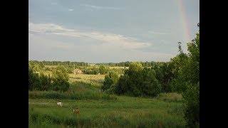Один летний день из жизни глухой деревни
