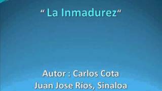 Cancion La Inmadurez