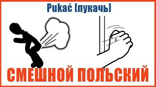 Смешной польский язык: ложные друзья переводчика #1