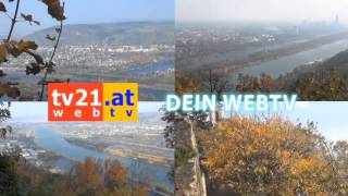 GartenKULT – Neue Gartenserie auf ORF III macht den Garten zum Kultobjekt