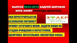 43. ТРИ ФАЗЫ ПИТАНИЯ. ПРИМЕРЫ. ЧАСТО и ДРОБНО.