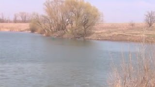 Передача прудов ТОСам