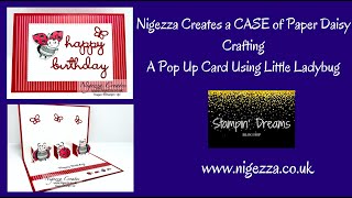 Little Ladybug Pop Up Card