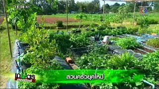 เกษตรฮอตนิวส์ | สวนครัวยุคใหม่ | 09-12-57