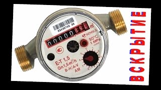 Водосчетчик изнутри. Вскрываем, разбираем, осматриваем.