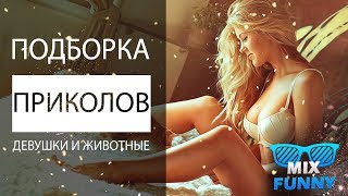 Лучшее кубы ? Животные и Девушки