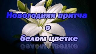 Новогодняя притча о белом цветке.