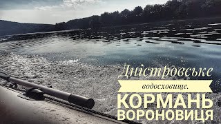 Дністровське водосховище. Кормань Вороновиця