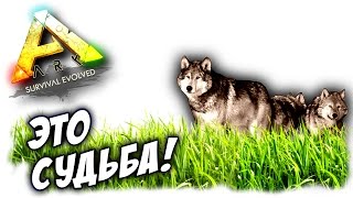 ARK: Survival Evolved - НЕ ХОДИТЕ С ДЕВУШКАМИ В АРК! #17