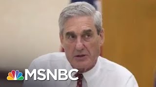 Donald Trump Faces 'A Long Winter' With Robert Mueller's Russia Probe | The 11th Hour | MSNBC