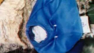 Bizarre Vet Cases