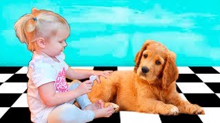 У СОФИЙКИ появился ЩЕНОК. УЧИМ НОВЫЕ КОМАНДЫ. СОФУНЬЯ Шалунья 0+