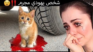سيارة تدعس على قطة حية  " السيارة طارت "  !!