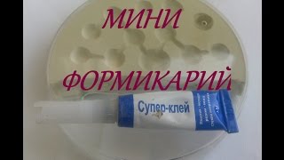 Как сделать ФОРМИКАРИЙ из чашки ПЕТРИ#