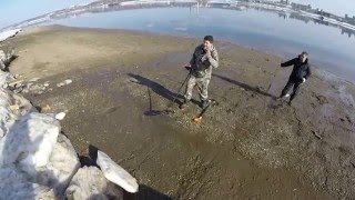 курья 31 03 2016 поиск золота ,монет ,первый коп
