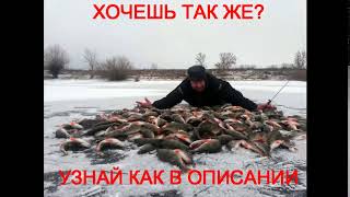москва опт прикормка