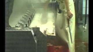 Шпарчан Haas, тип - 300