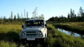 Как проехать по болоту на стоковой машине