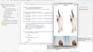 CollectionView Inside TableView Cell in Swift 3