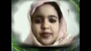 اكبر حوبارات في موريتانيا