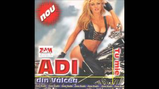 ADI DE LA VALCEA - E golan, e vagabond, ZOOM STUDIO