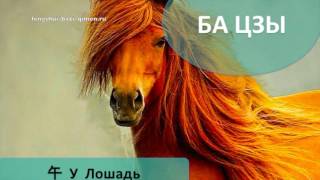 #28 午, У, Лошадь в Ба Цзы l Ба Цзы