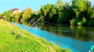 Рыбалка в Краснодарском крае  Темрюкском районе станица Курчанская