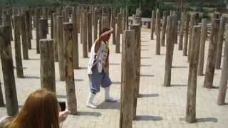 Шаолінь /  Shaolin monks / Тренировки монахов Шаолиня в реальности