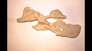 The Sulfur Cycle (stop motion animation)