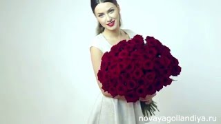 Букет из 51 красной розы. Цветы Новая Голландия