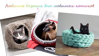 Вязание для любимых котиков.Knitting for your favorite animals