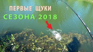 Рыбалка на Малой реке. Ловля щуки. Ридж 90 выручает!