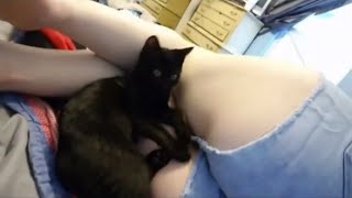 Girl Farting Compilation